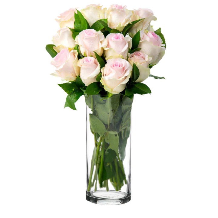 Baby Pink Roses Cylinder in Qatar