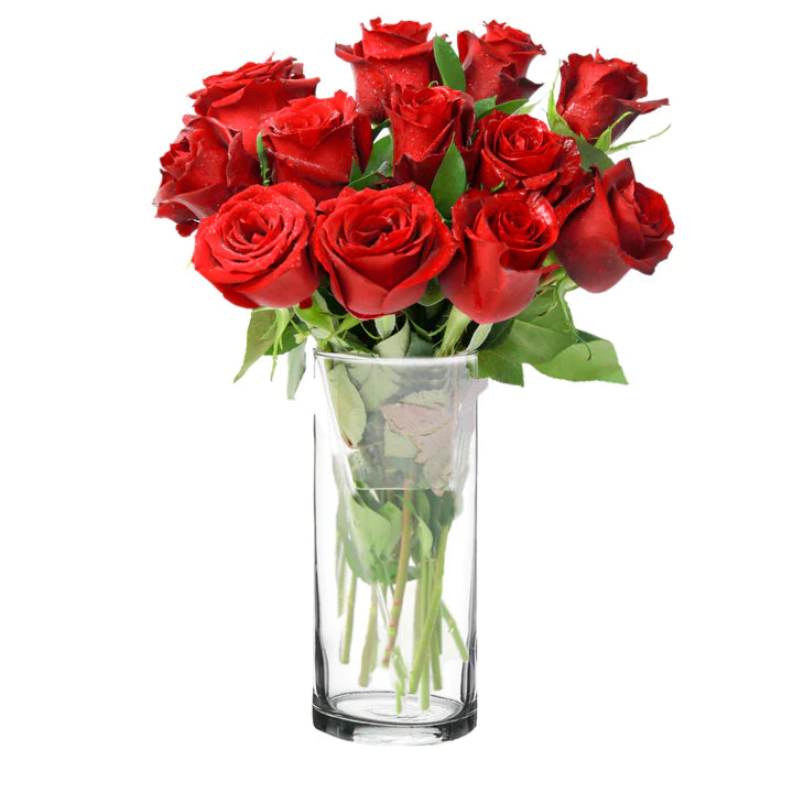 Red Roses Cylinder in Qatar