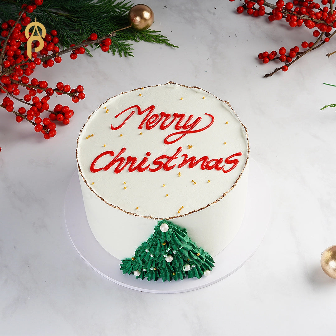 Minimalist Merry Christmas Cake
