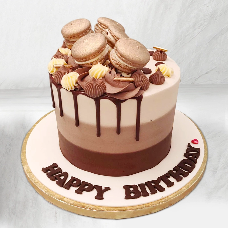 Macaron Loaded Chocolate Cake