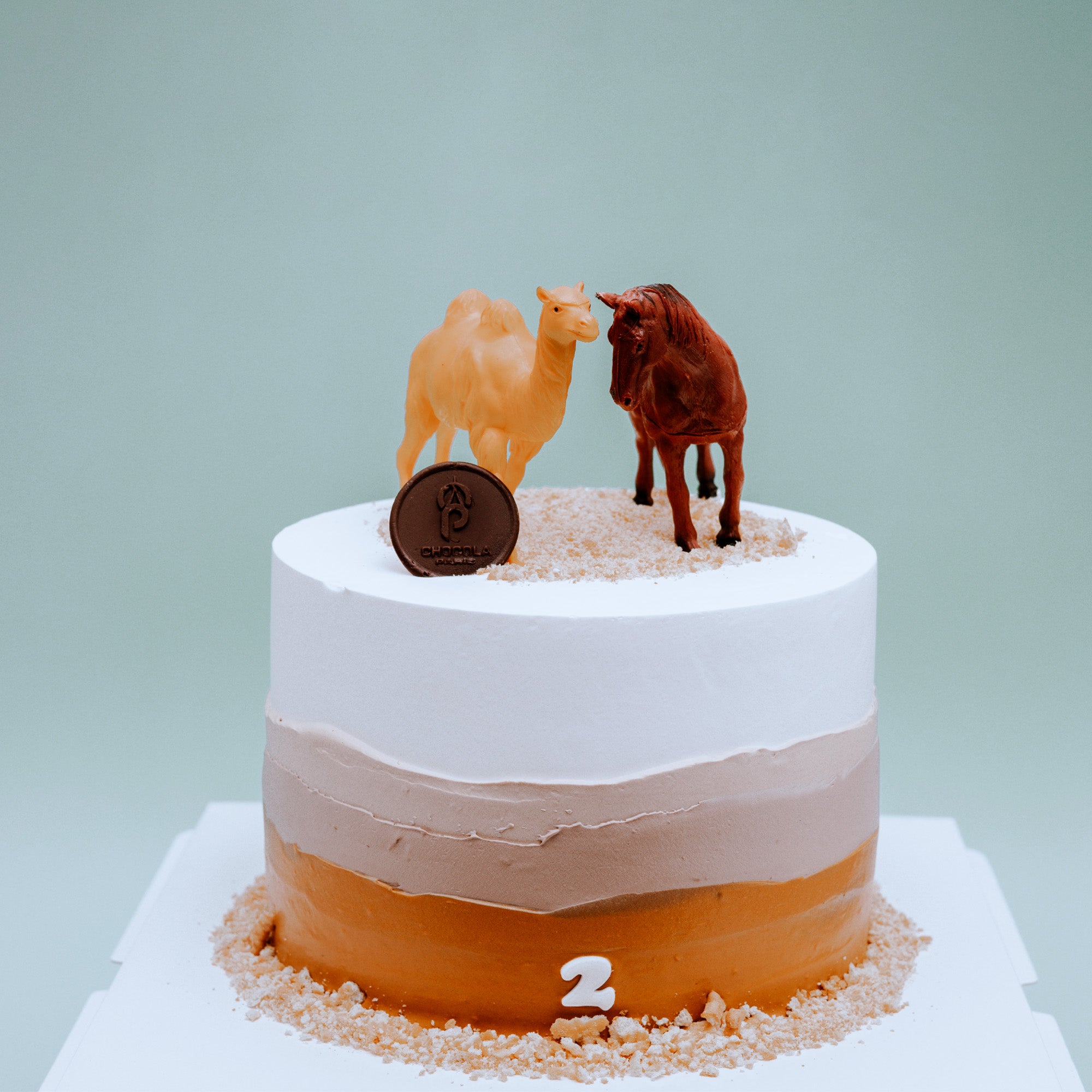 Horse and camel kids cake