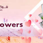 Love Flowers in Qatar